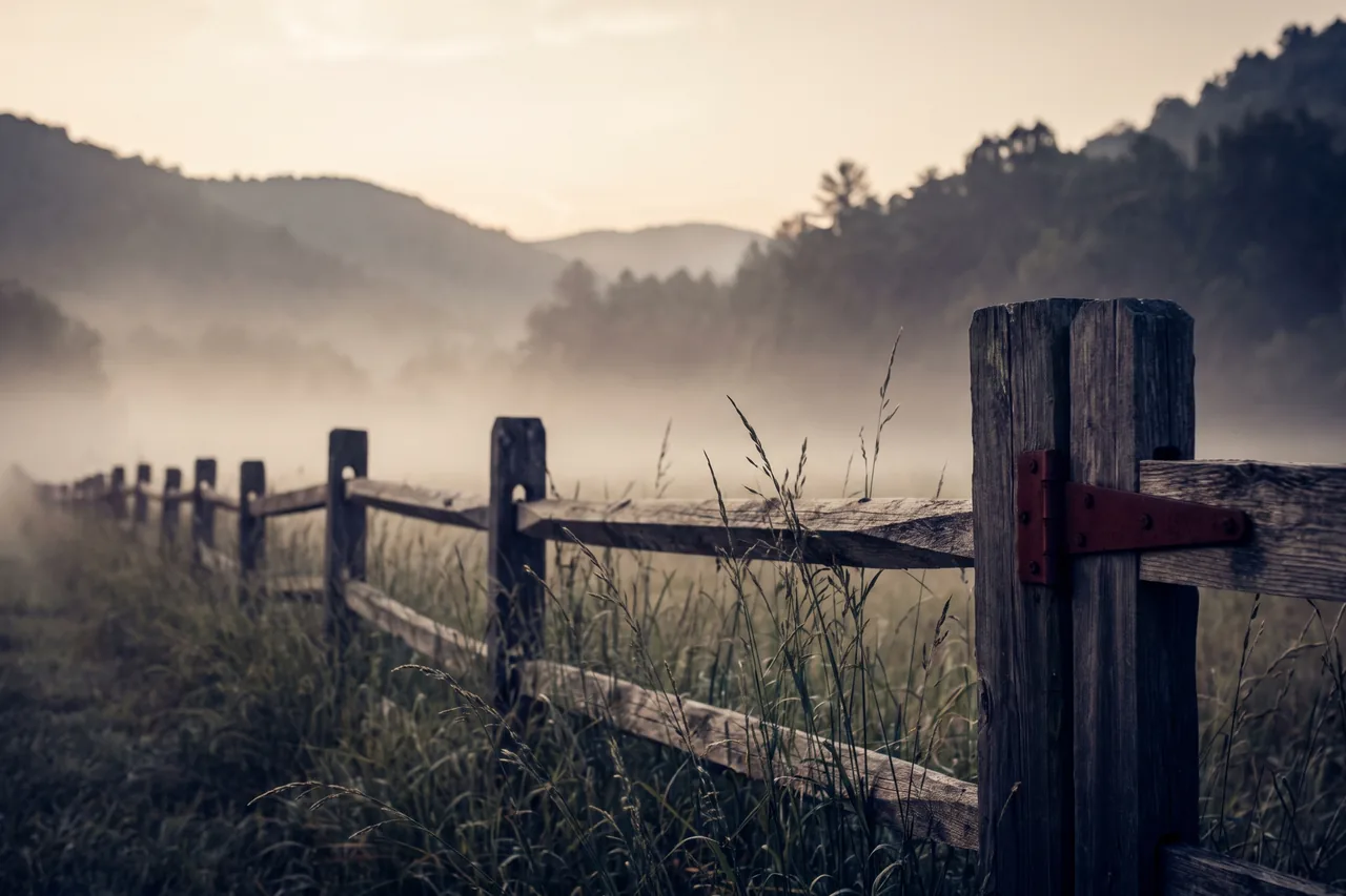 A split-rail fence line running into valley fog in the morning